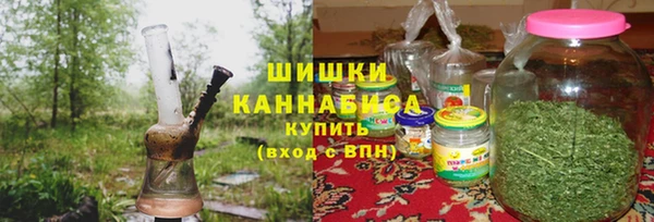 гидра Абаза