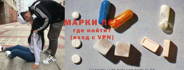 гидра Абаза