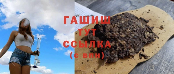 гидра Абаза
