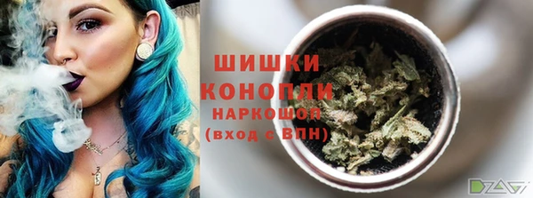 гидра Абаза