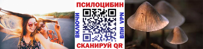 сколько стоит OMG сайт Галлюциногенные грибы мицелий Кашира